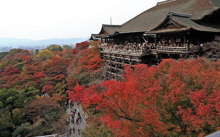 清水寺19