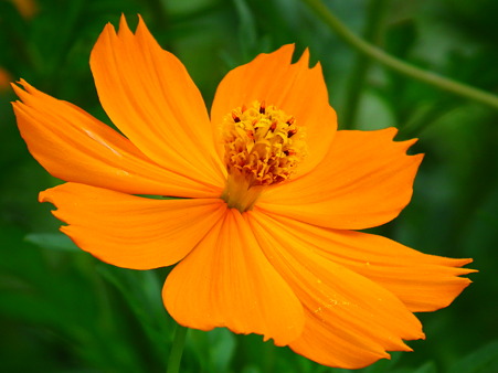 DSCF5547