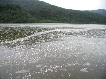 西表、カヤック 107