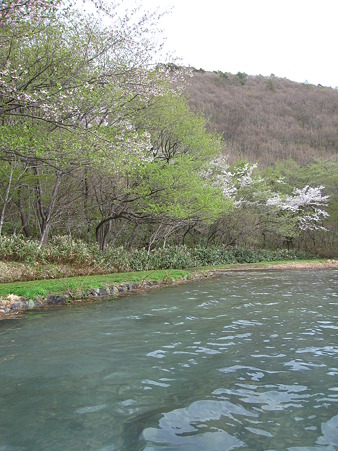 潟沼