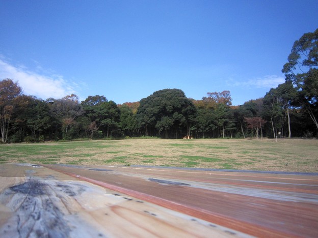 岩屋緑地
