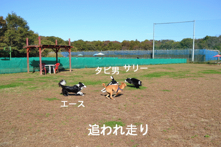 逃走_コメント