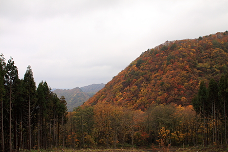 ガスって紅葉が楽しめない(涙)