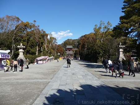 120209-八幡さま (3)