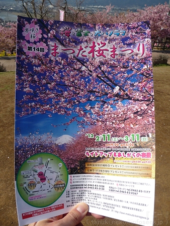 120329-松田山 河津桜 (92)