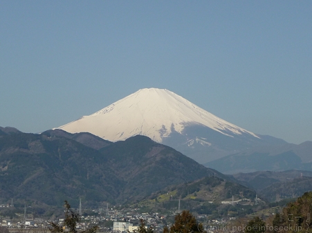 120329-松田山から富士山 (9)