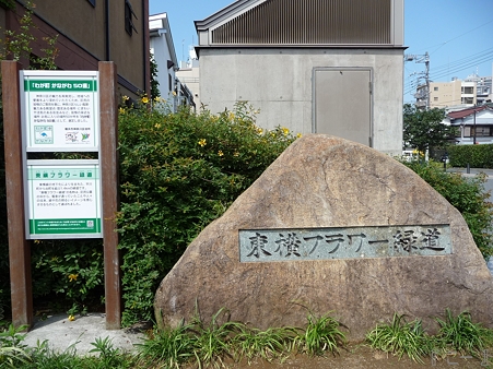 110622-東横廃線 東白楽→反町 (29)