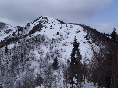 2012032017