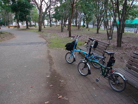 Brompton2台 in 清澄公園