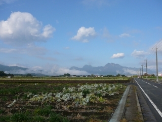良い天気