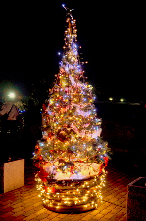 Christmas Tree