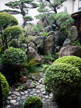 藤枝 真茶園