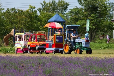Blog_20120708_Lavendar_09