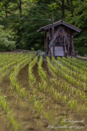 小屋のある風景