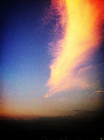 Dragon's fly