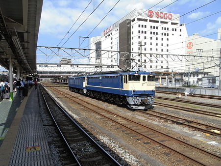 EF65-1103+EF64-36(八王子駅)2