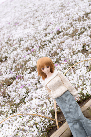 IMGP6819