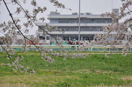 競馬始まった!