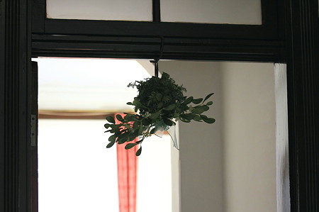 2011.12.19　山手西洋館　世界のクリスマス2011　外交官の家 (アイルランド)　3
