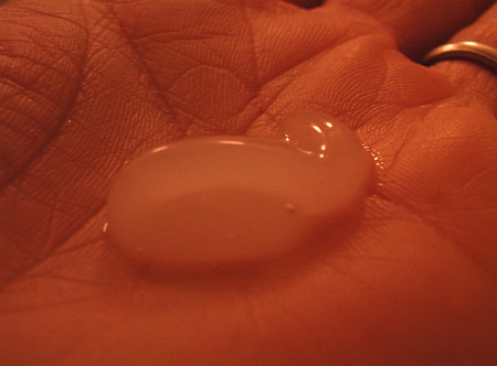 IMGA0288