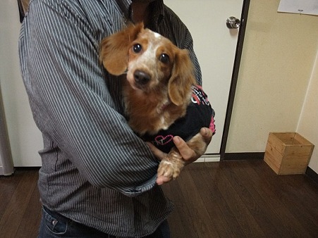 笑花ちゃん