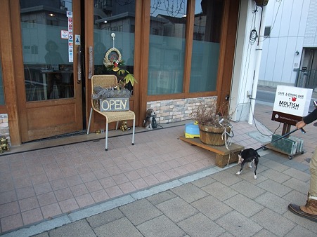 cafe&dining bar +wan MOLTISH