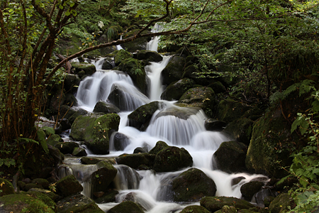 雨滝渓谷 - 05