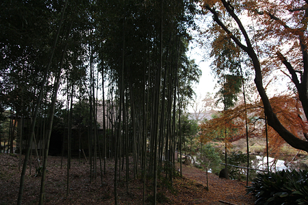 江川邸 - 08