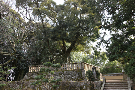 花山院 - 06