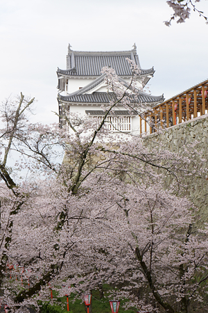 津山城 - 008