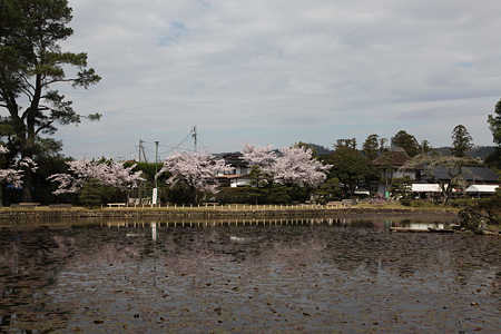 衆楽園 - 06