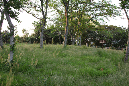 久野城 - 06
