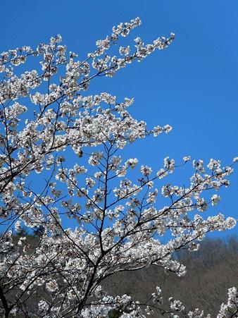 DSCN1601