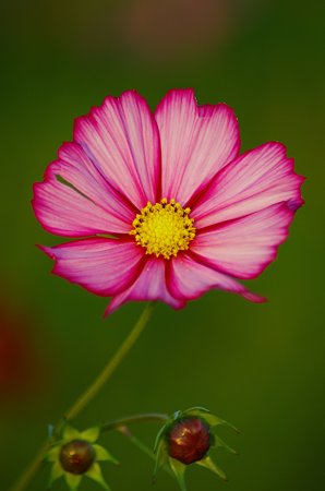 IMGP3830
