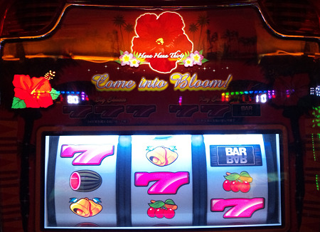 DVC00456_edited