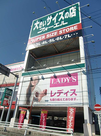 forele hamamatsukami-231025-2