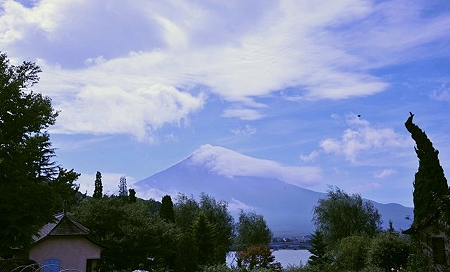 ガラスの森の富士山1
