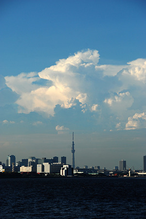 スカイツリー