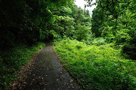 1106230928_DSC_1866