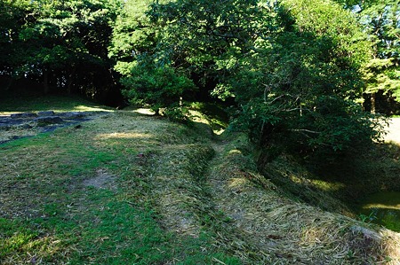1107120735_DSC_5460