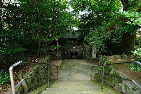 1107121245_DSC_3118