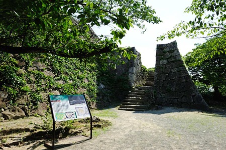 1107121527_DSC_3358