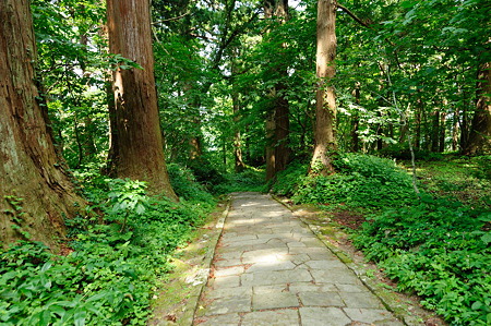 1108131000_DSC_4524