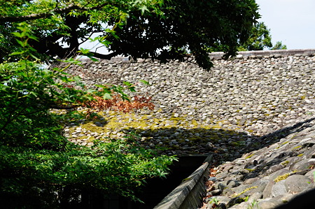 1108141114_DSC_6301