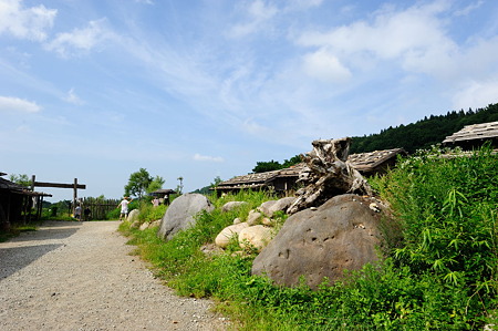 1108141515_DSC_6140
