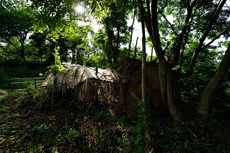 1108141548_DSC_6238