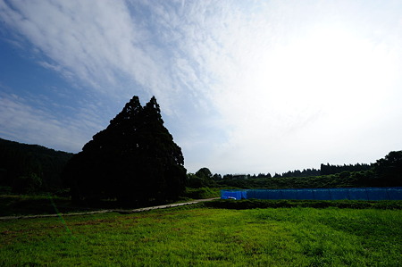 1108150807_DSC_6389
