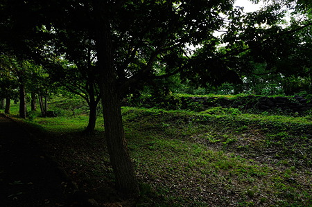 1108161700_DSC_7854