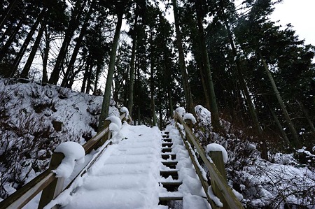 1101021234_DSC_7183