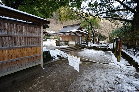1101021603_DSC_7503